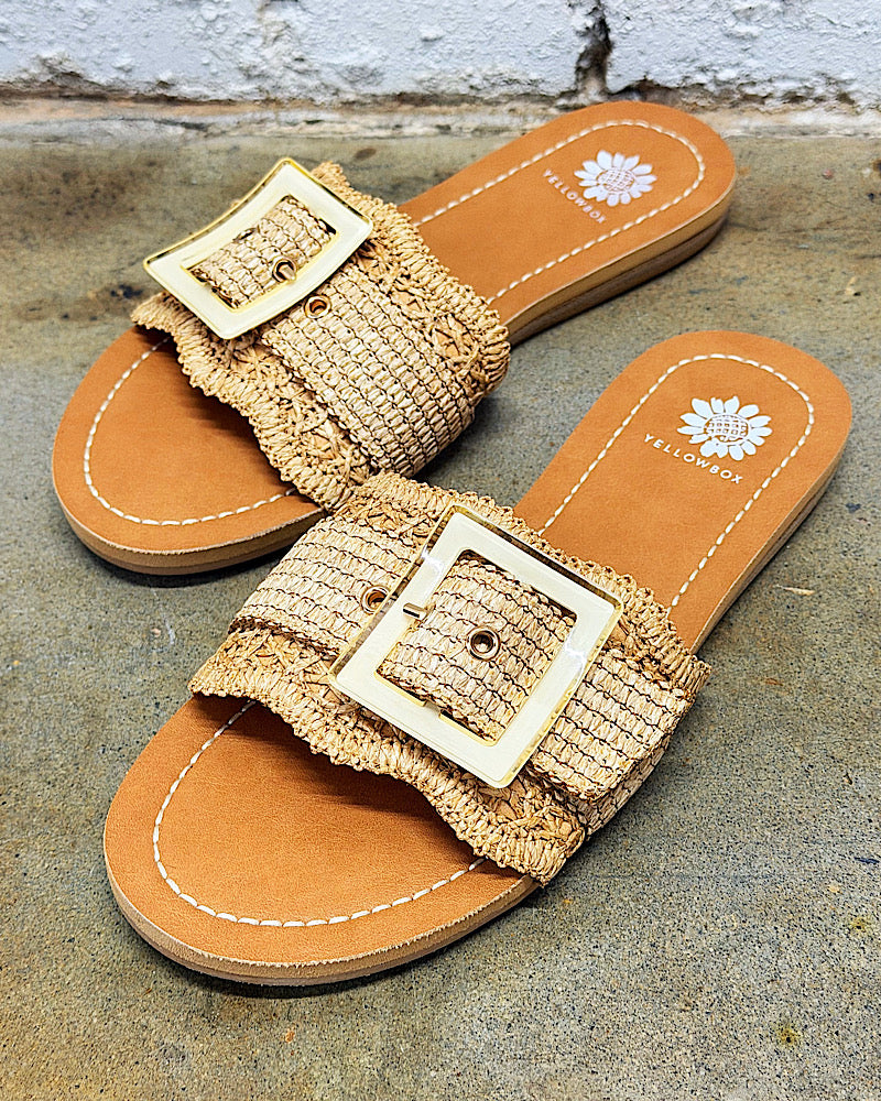 Hamlyn Natural Slides