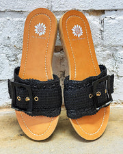 Hamlyn Black Slides
