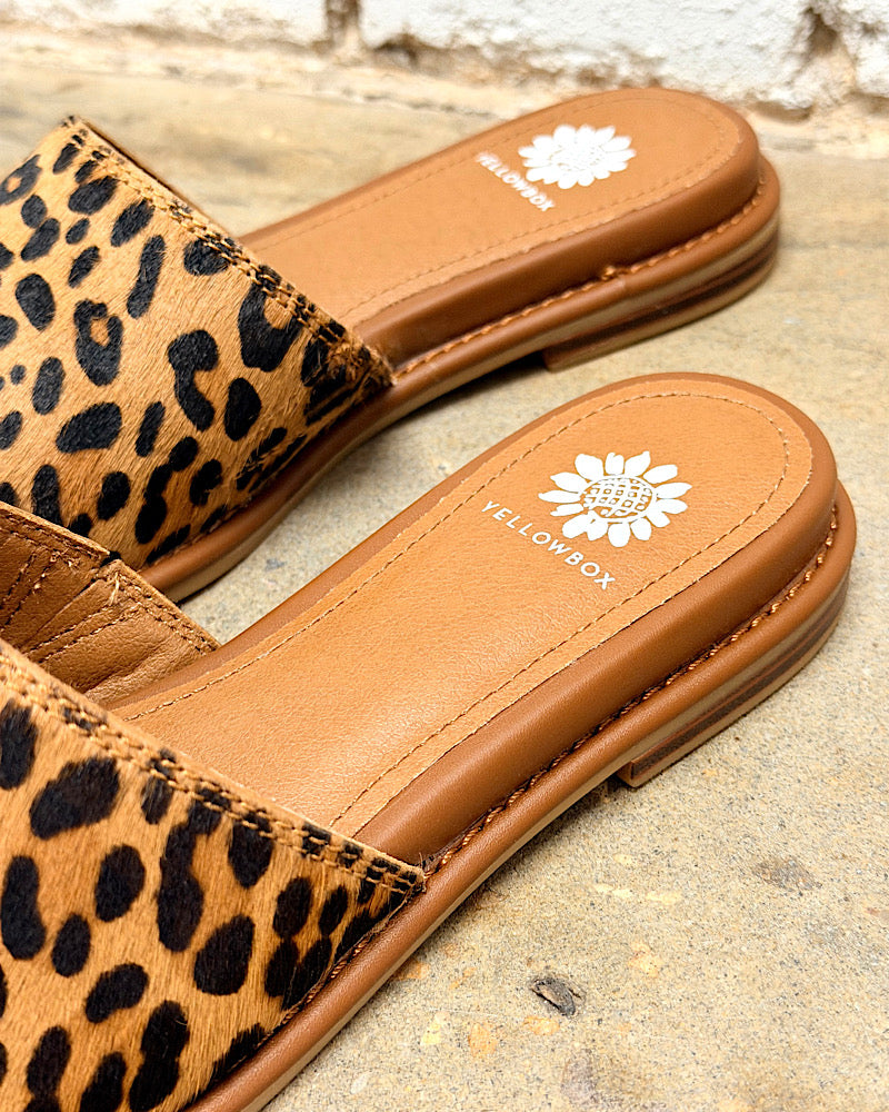 Regan Leopard Pointy Mules