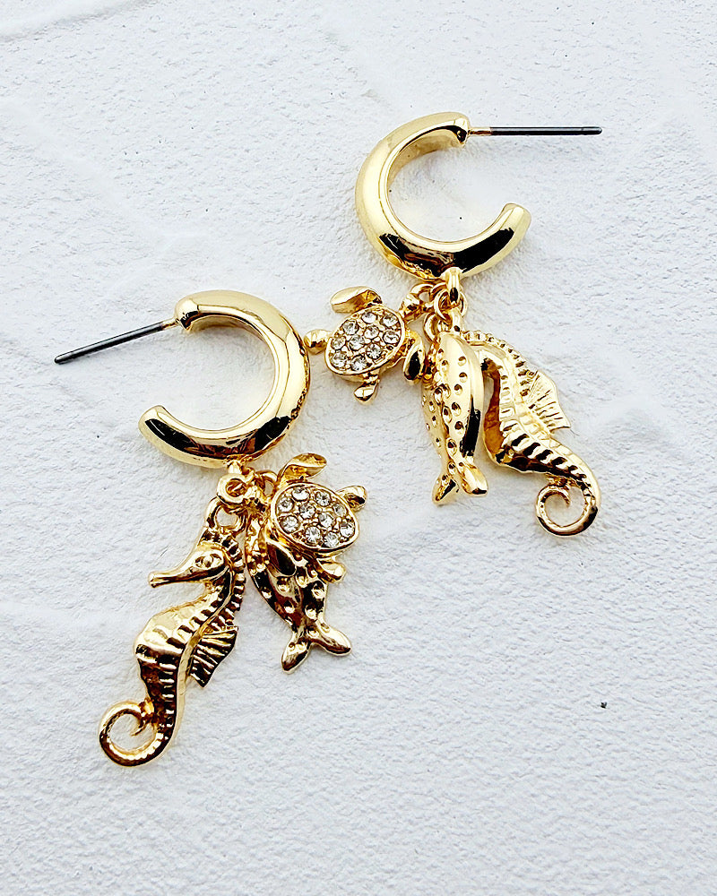 Shell Yeah Hoops