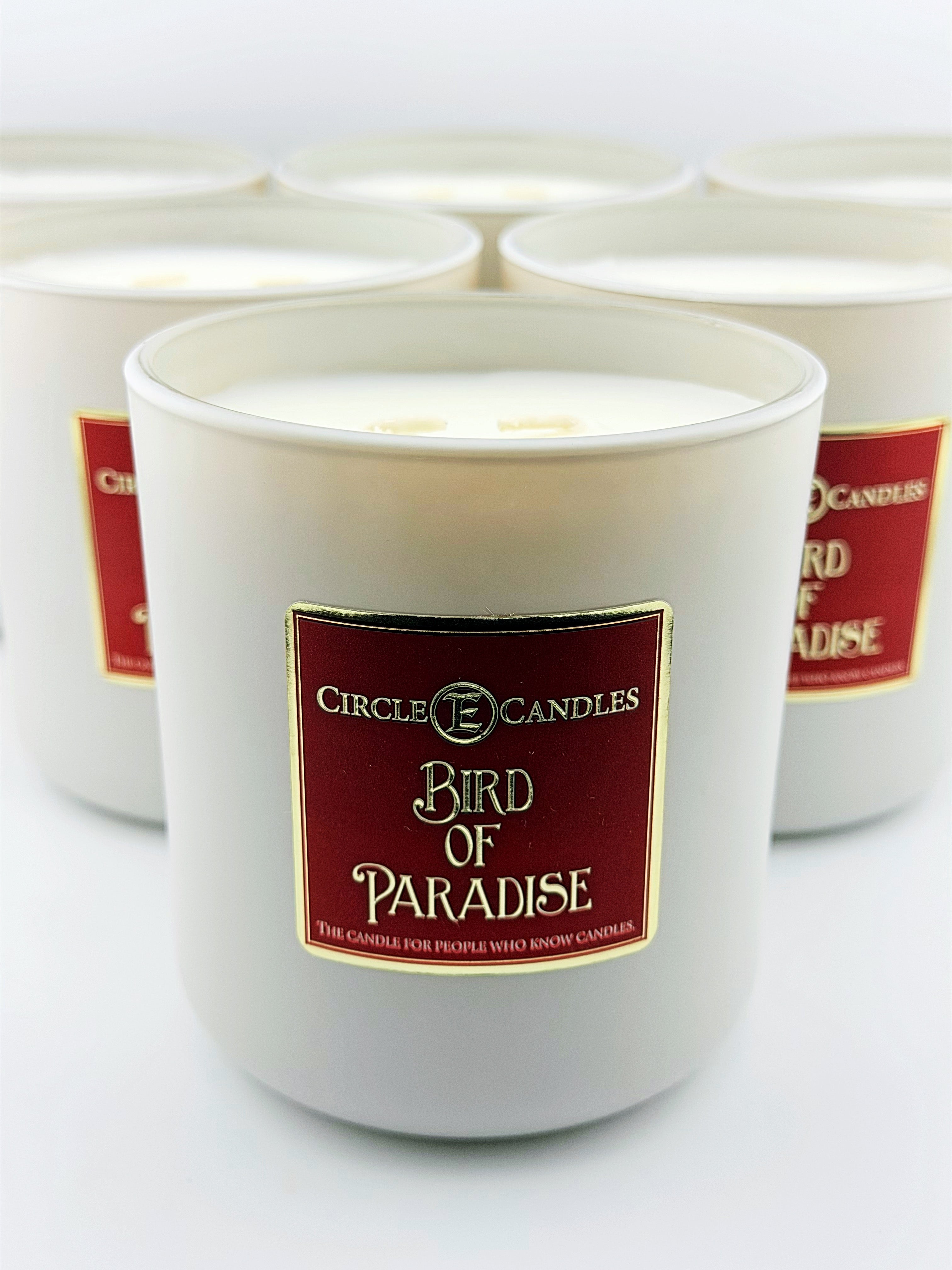 Bird Of Paradise 14oz Candle