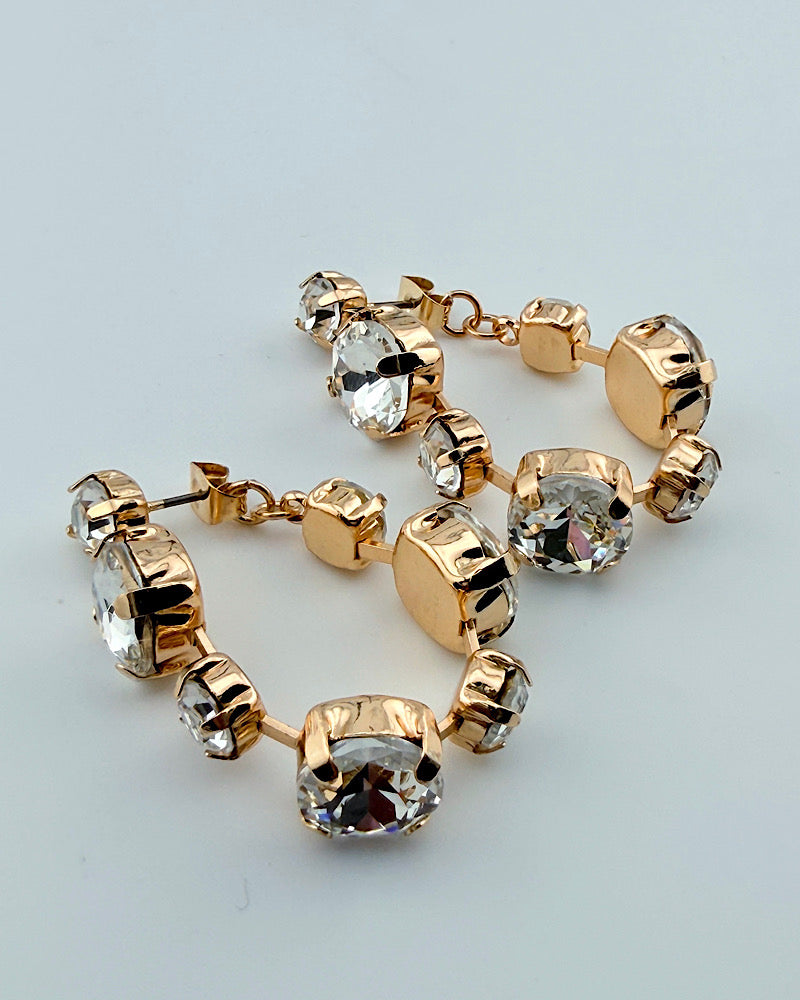 Fierce Facets Earrings
