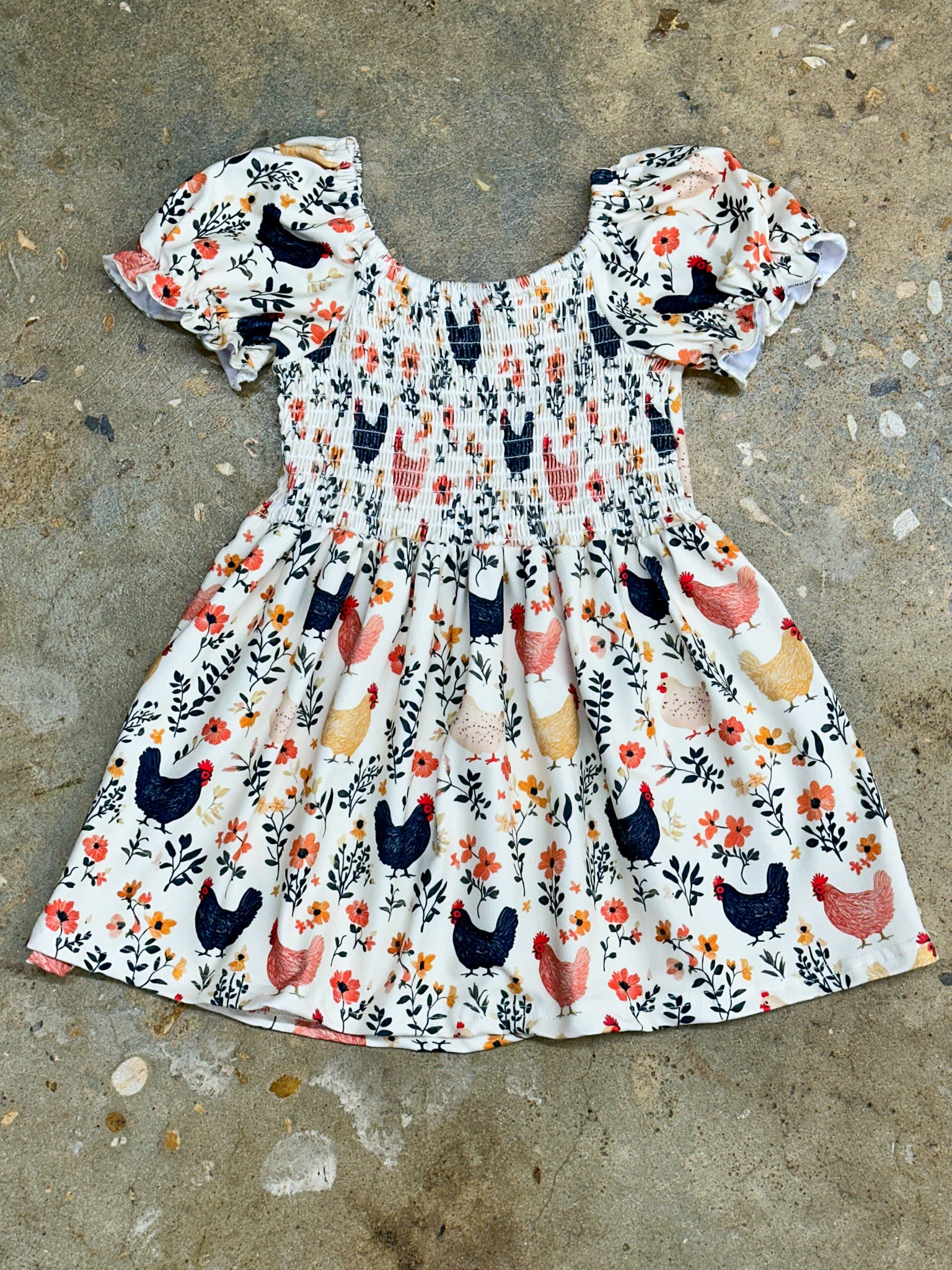 Feathered Friends Smocked Dress