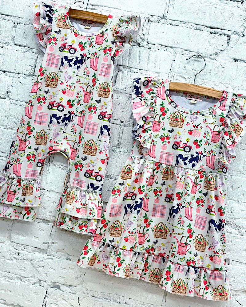 Strawberry Farmer Swing Dress