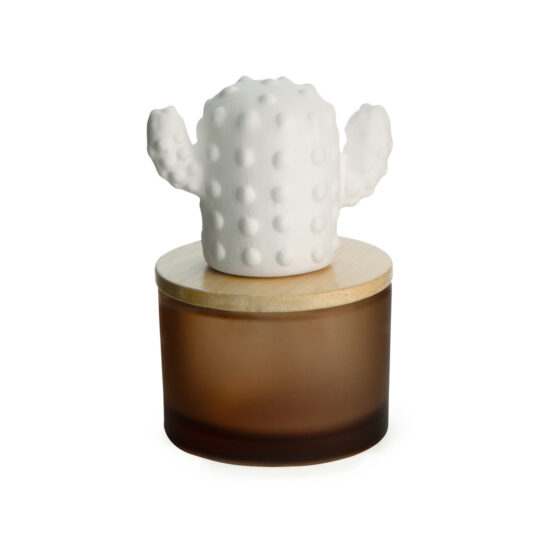 Cactus Porcelain Diffuser