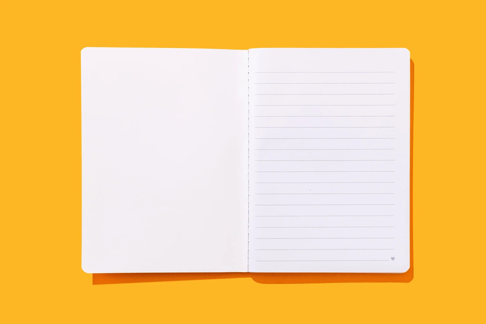 Shine Notebook Set