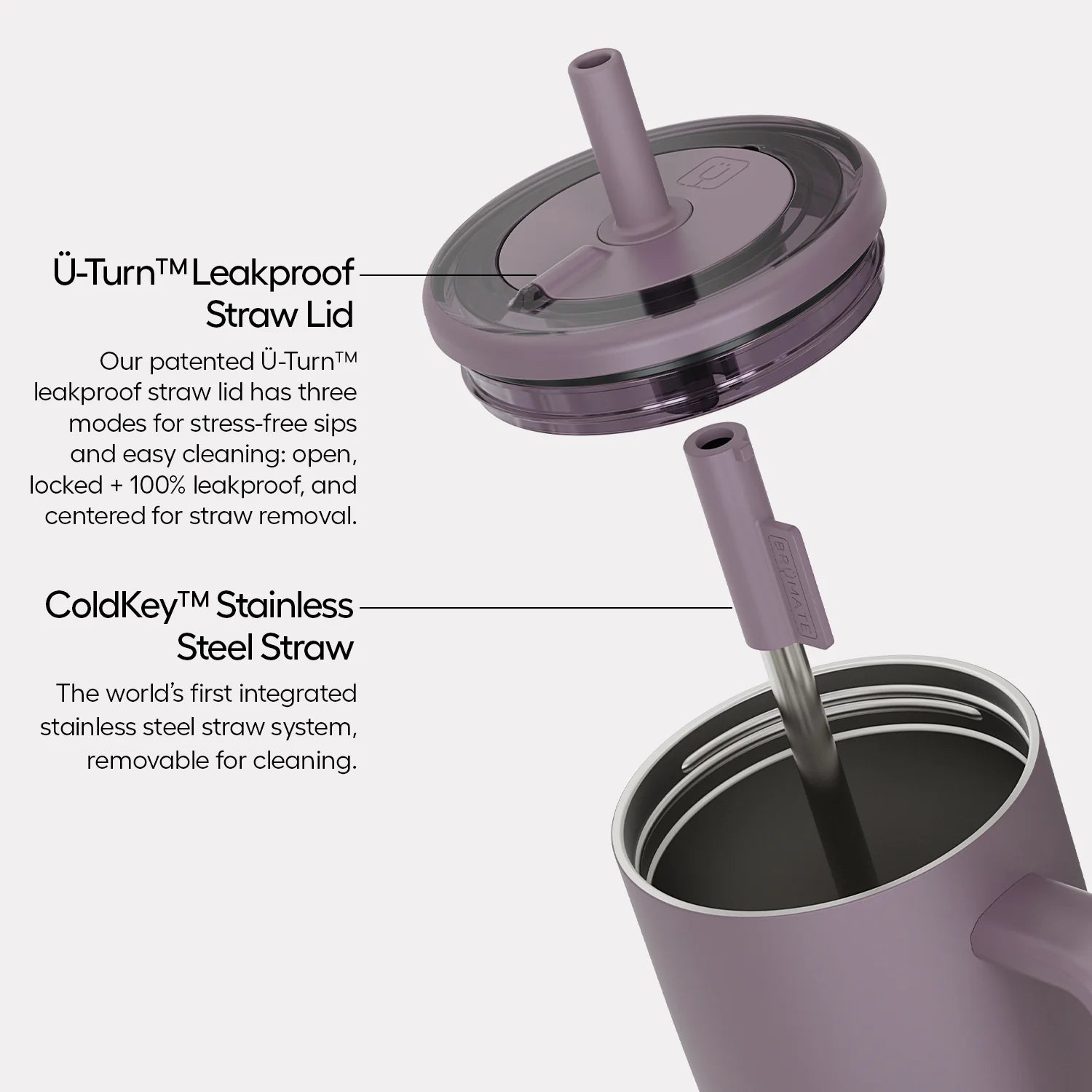 Bows 30oz Straw Tumbler - Limited Edition