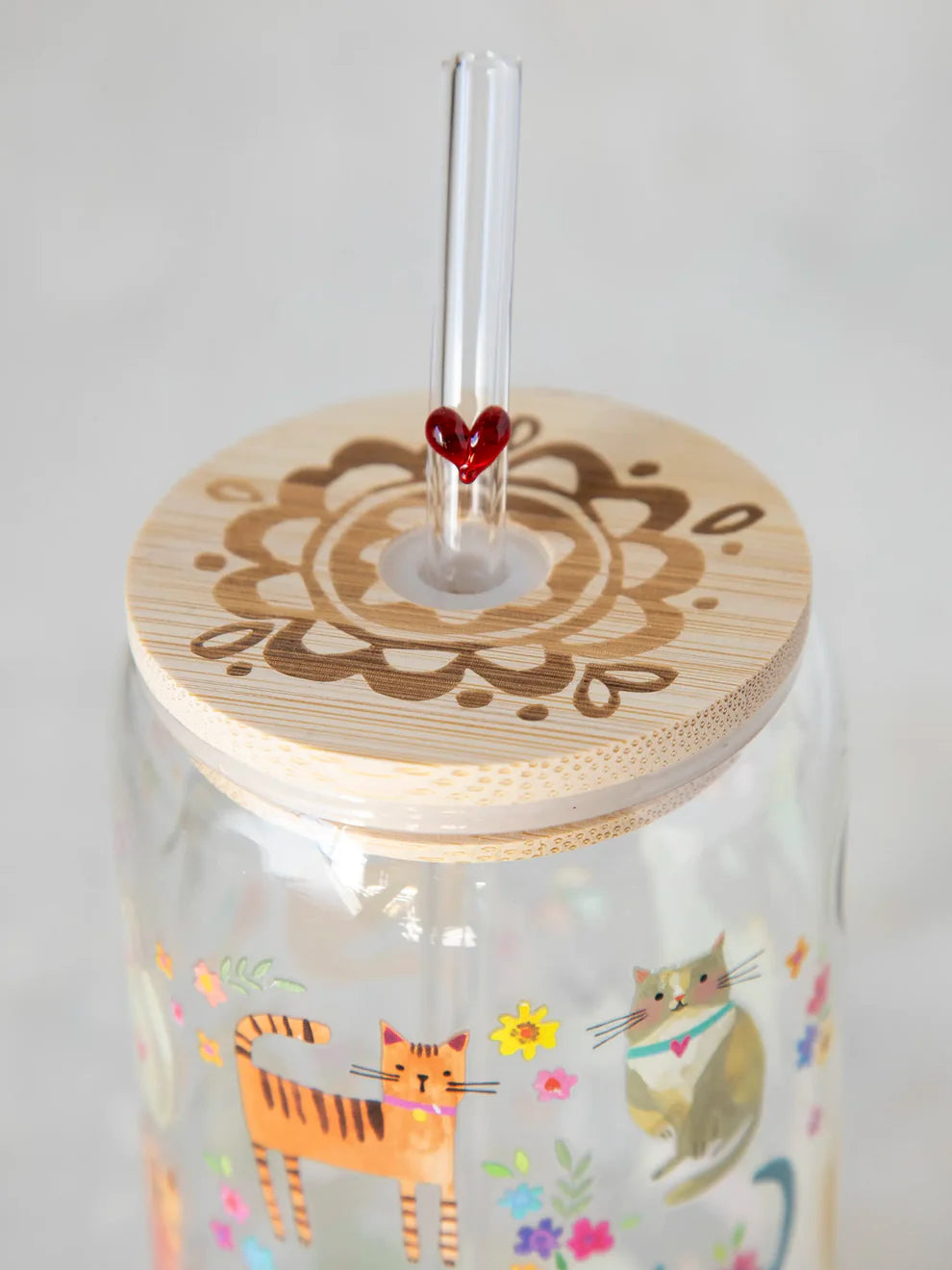 Cat Glass Straw Tumbler
