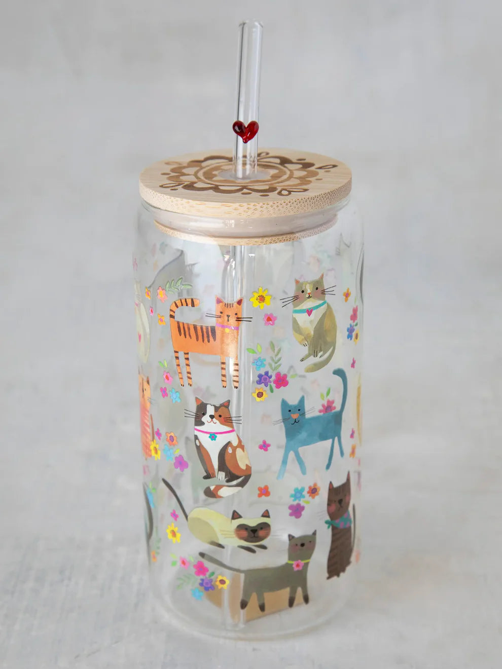Cat Glass Straw Tumbler