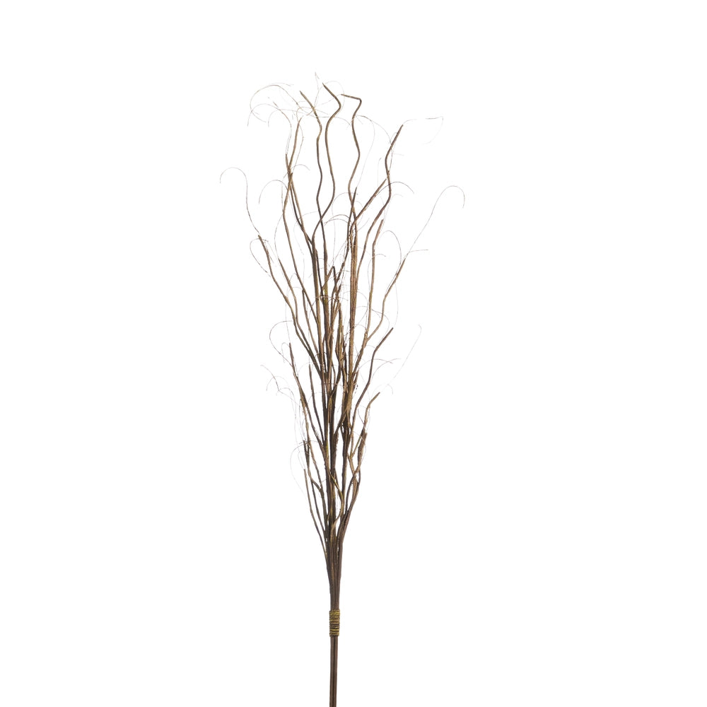 Curly Willow Bundle