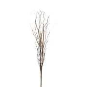 Curly Willow Bundle