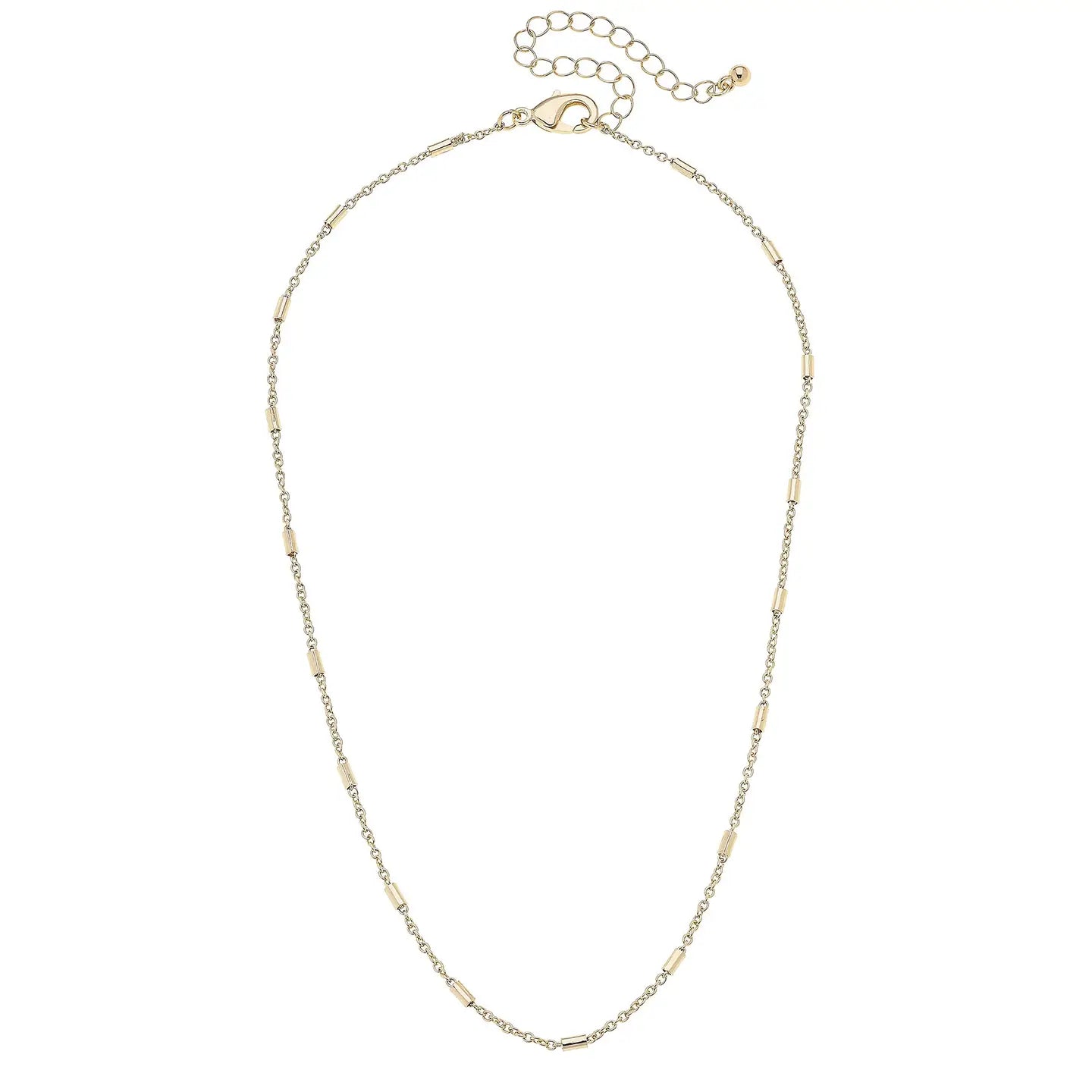 Dakota Dainty Charm Necklace