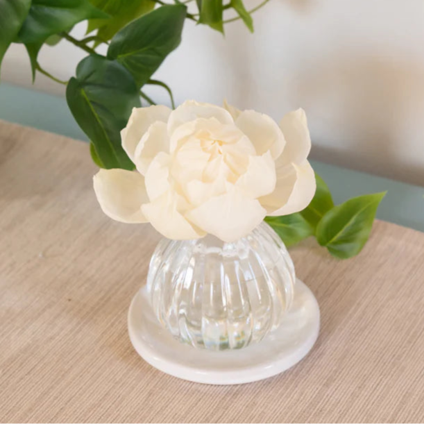 Cashmere Kiss Flower Diffuser