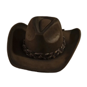 Wild Annie Dark Brown Cowboy Hat