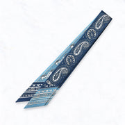 Punchy Paisley Twillie - Blue