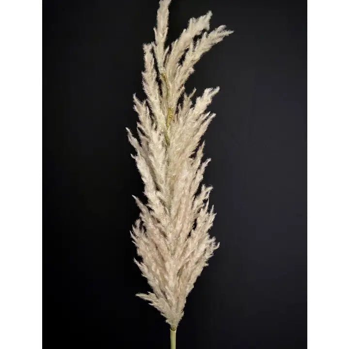 Light Green Feathered Grass