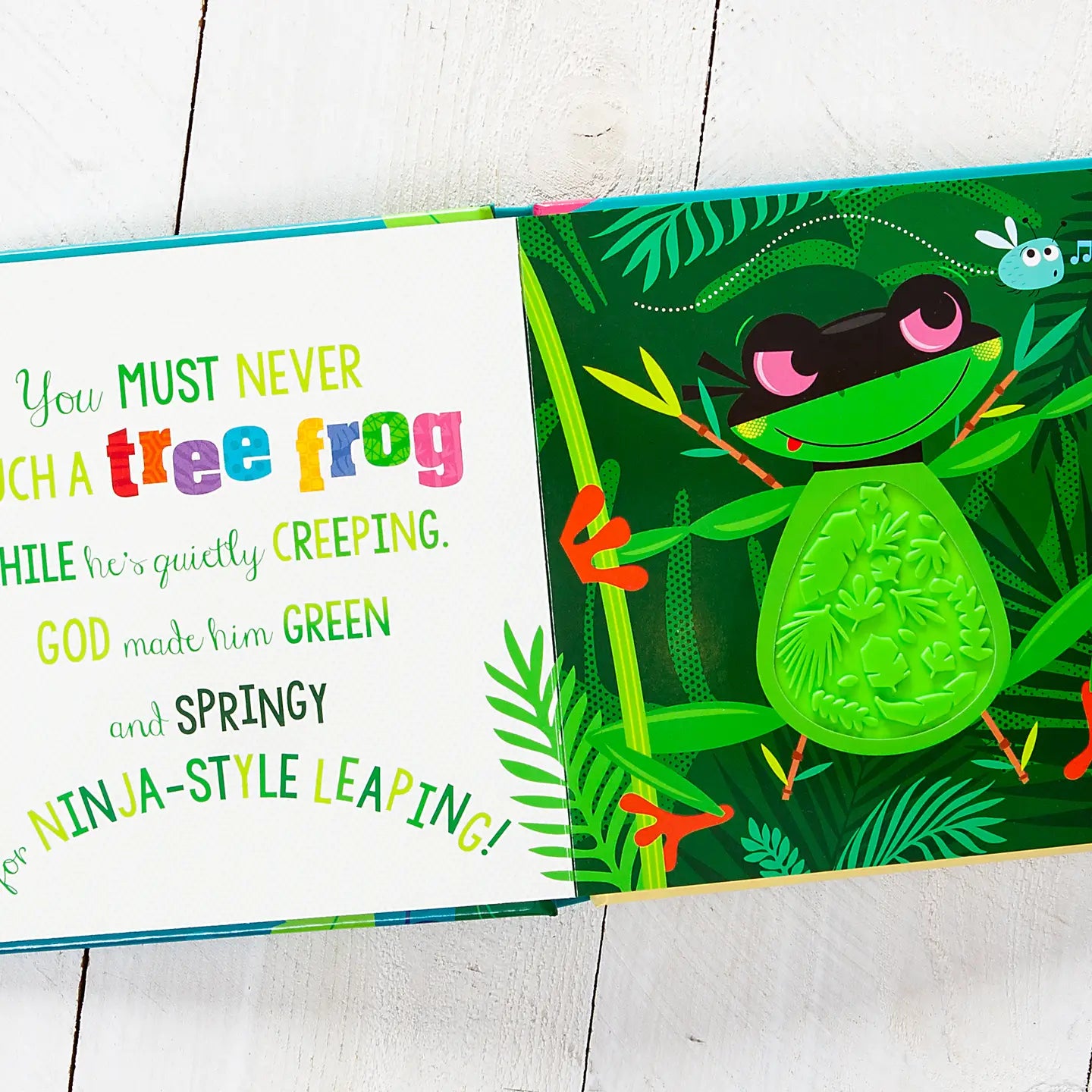 Never Touch God's Colorful Creations Board Book