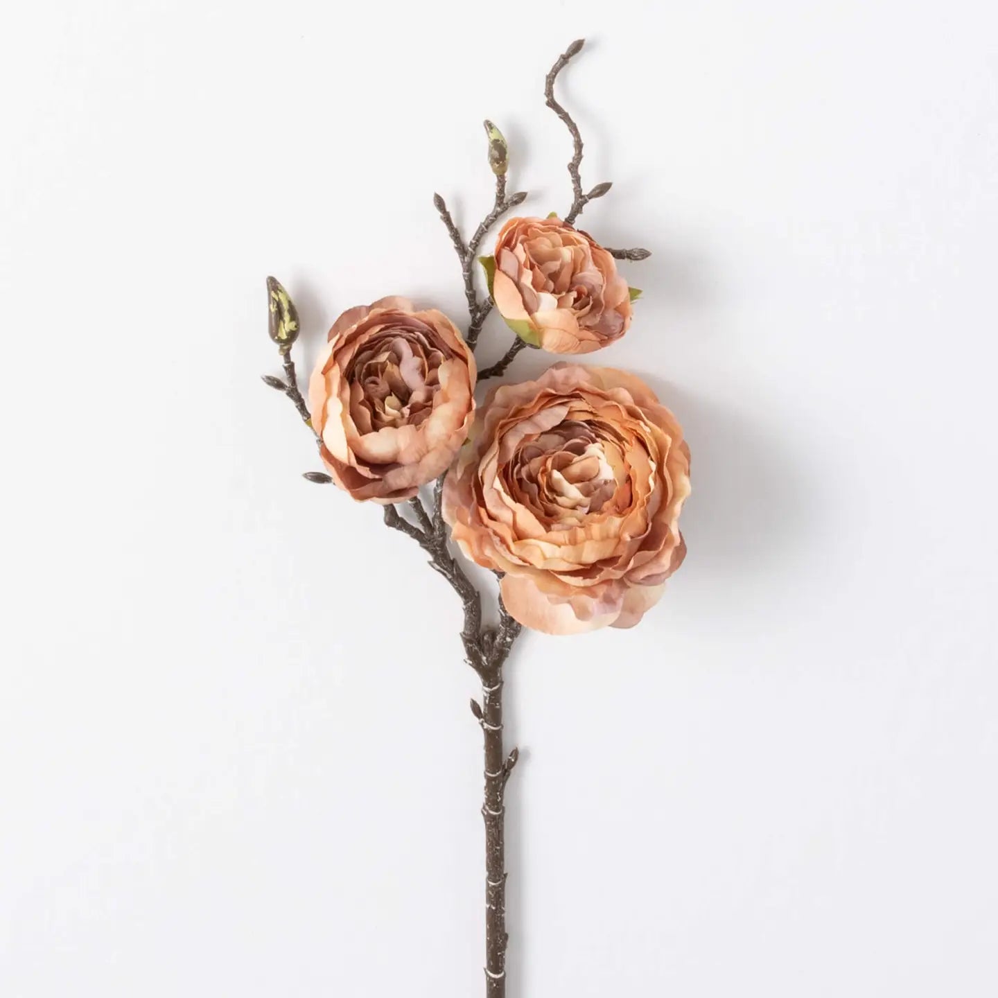 Ranunculus Spray