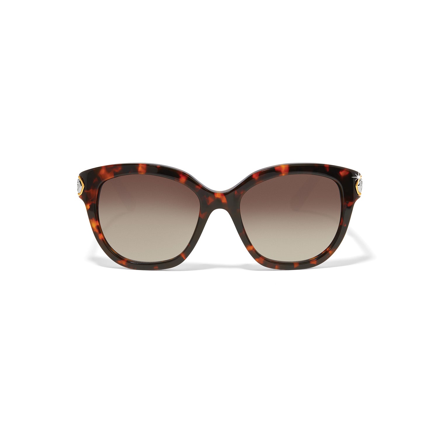 Intrigue Tortoise Sunglasses