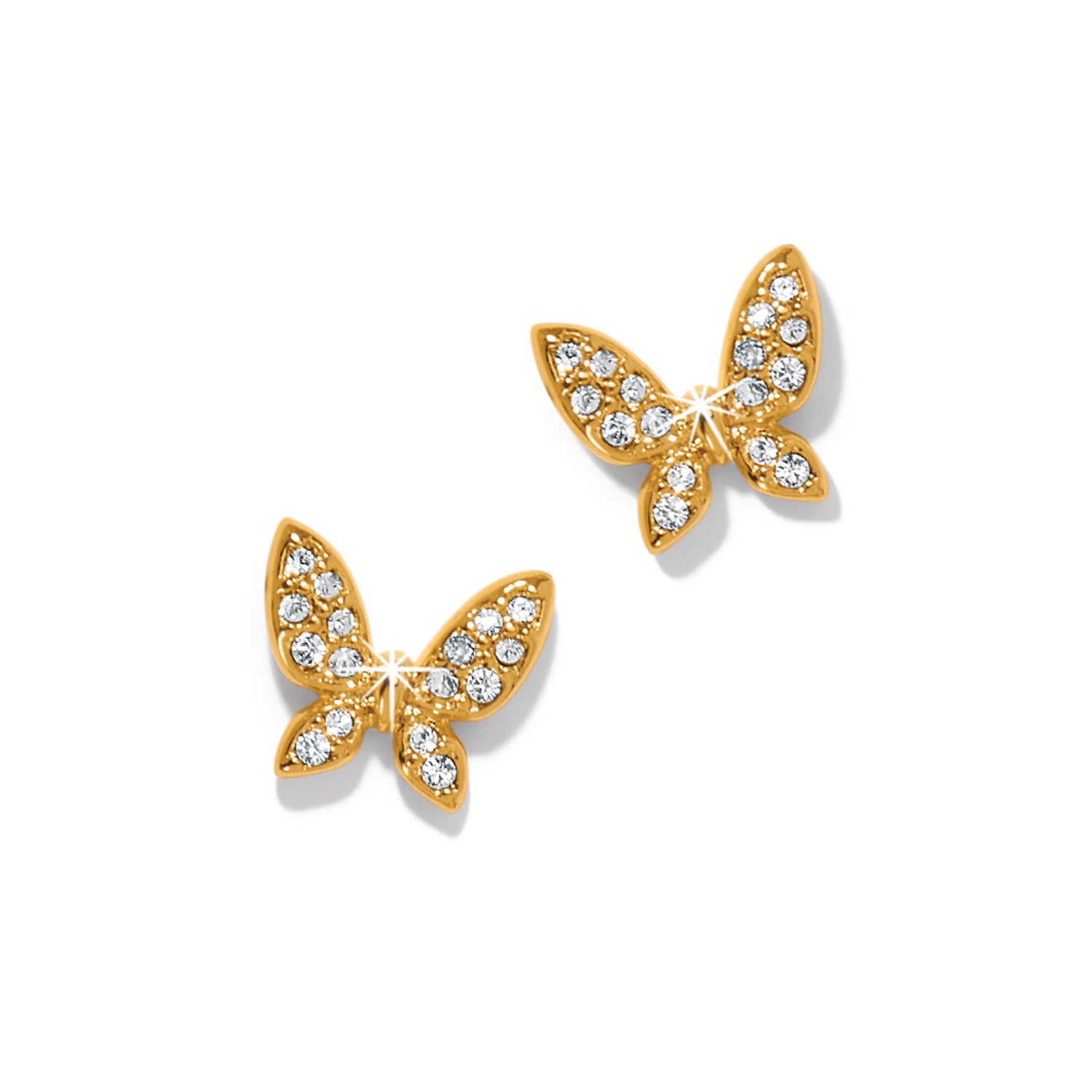 Enchanting Butterfly Gold Post Earrings