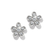 Enchanting Flower Earrings