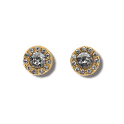 Illumina Gold Solitaire Post Earrings