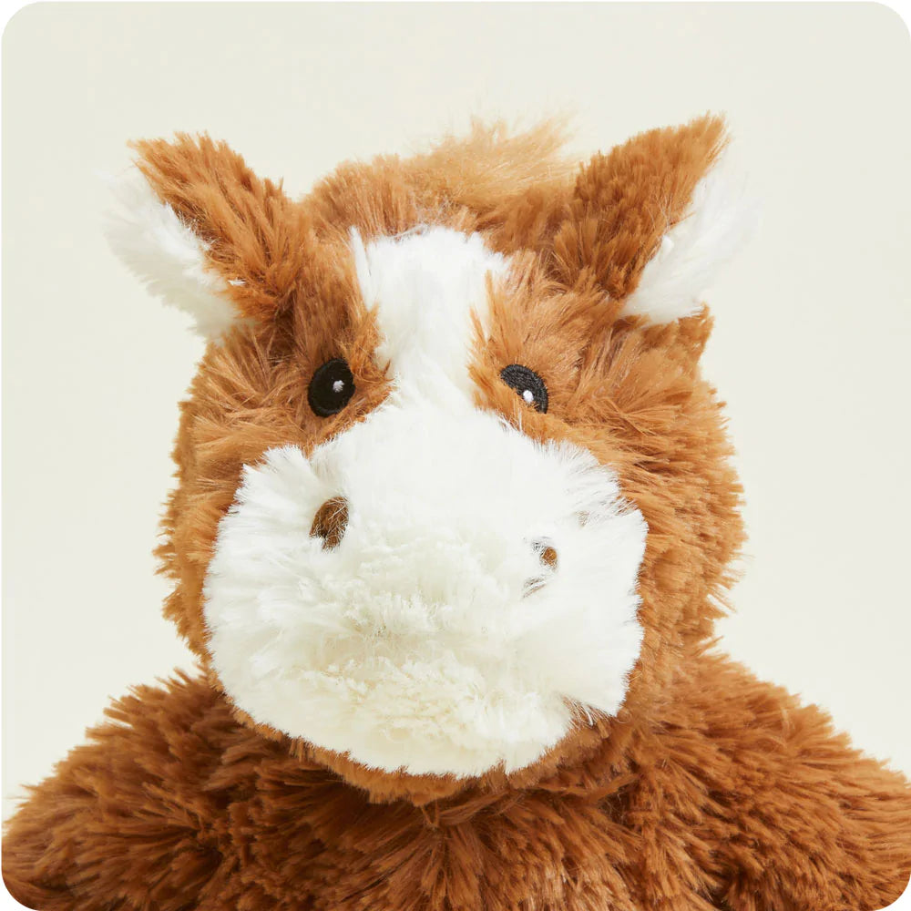 Horse Warmie