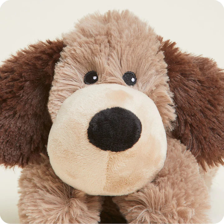 Brown Dog Junior Warmie