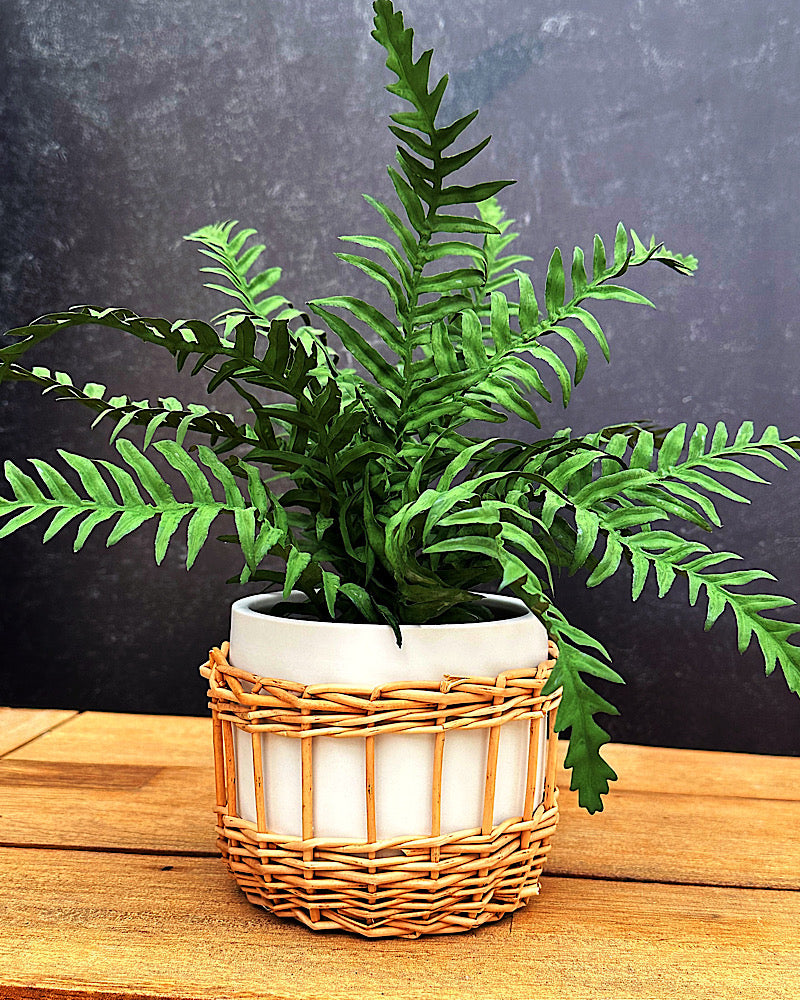 Artificial Potted Fern