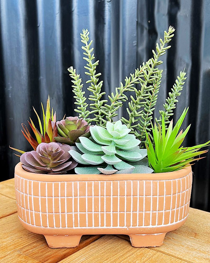 Artificial Mixed Succulent Plant