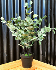 Artificial Eucalyptus Plant