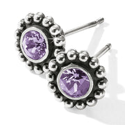 Twinkle Tanzanite Mini Post Earrings