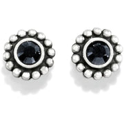 Twinkle Black Mini Post Earrings